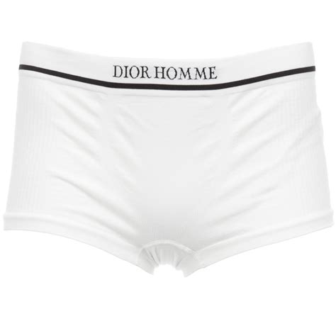 dior homme briefs|Dior Homme 2020 review.